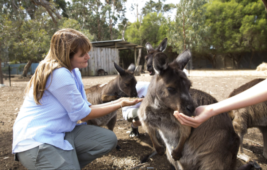 莫纳托野生动物园犀牛互动体验（含门票）