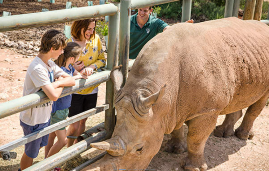莫纳托野生动物园犀牛互动体验（含门票）