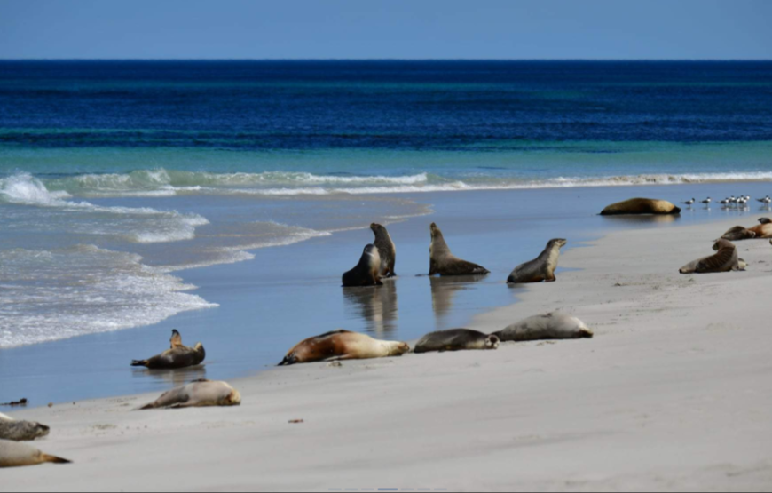 莫纳托野生动物园犀牛互动体验（含门票）
