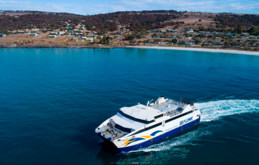 莫纳托野生动物园犀牛互动体验（含门票）