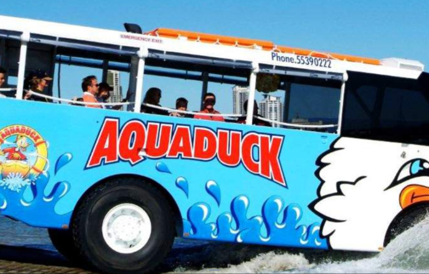 黄金海岸1小时水陆两用鸭子船体验（冲浪者天堂出发）