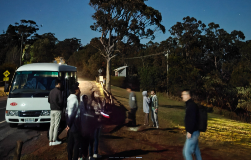 黄金海岸萤火虫夜游（含中文导游）